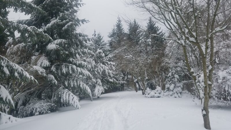 Foege Park - Portland, OR