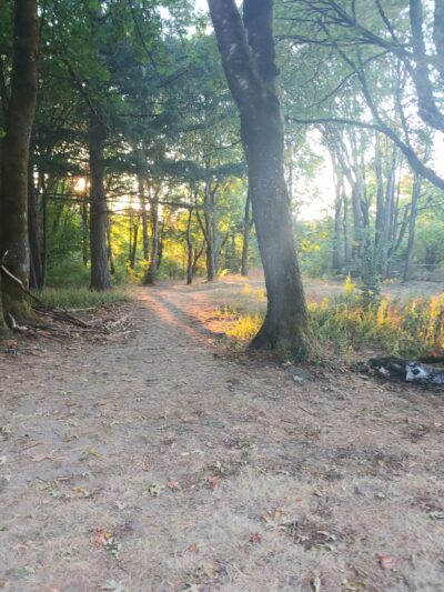 Forest Hills Park - Portland, OR