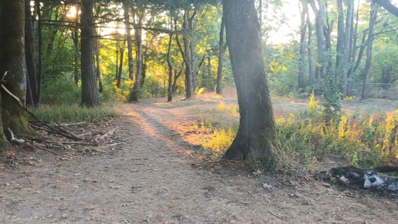 Forest Hills Park - Portland, OR