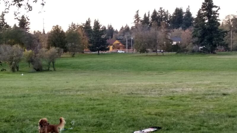 Gates Park - Portland, OR