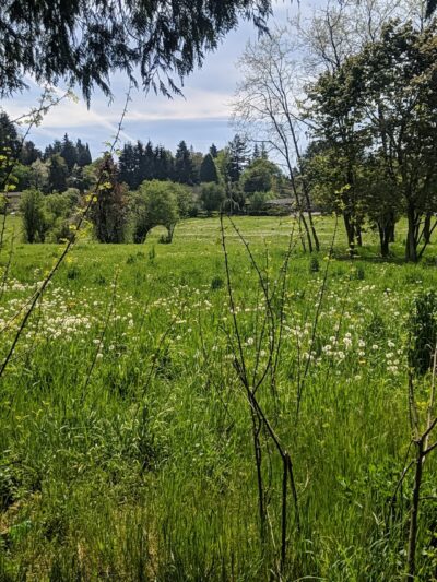 Gates Park - Portland, OR