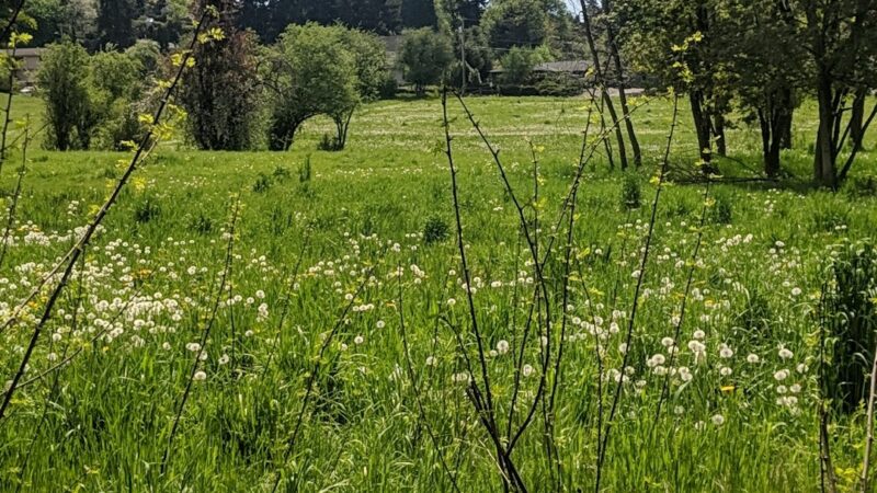 Gates Park - Portland, OR