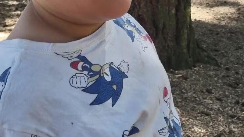 Hancock Park - Portland, OR