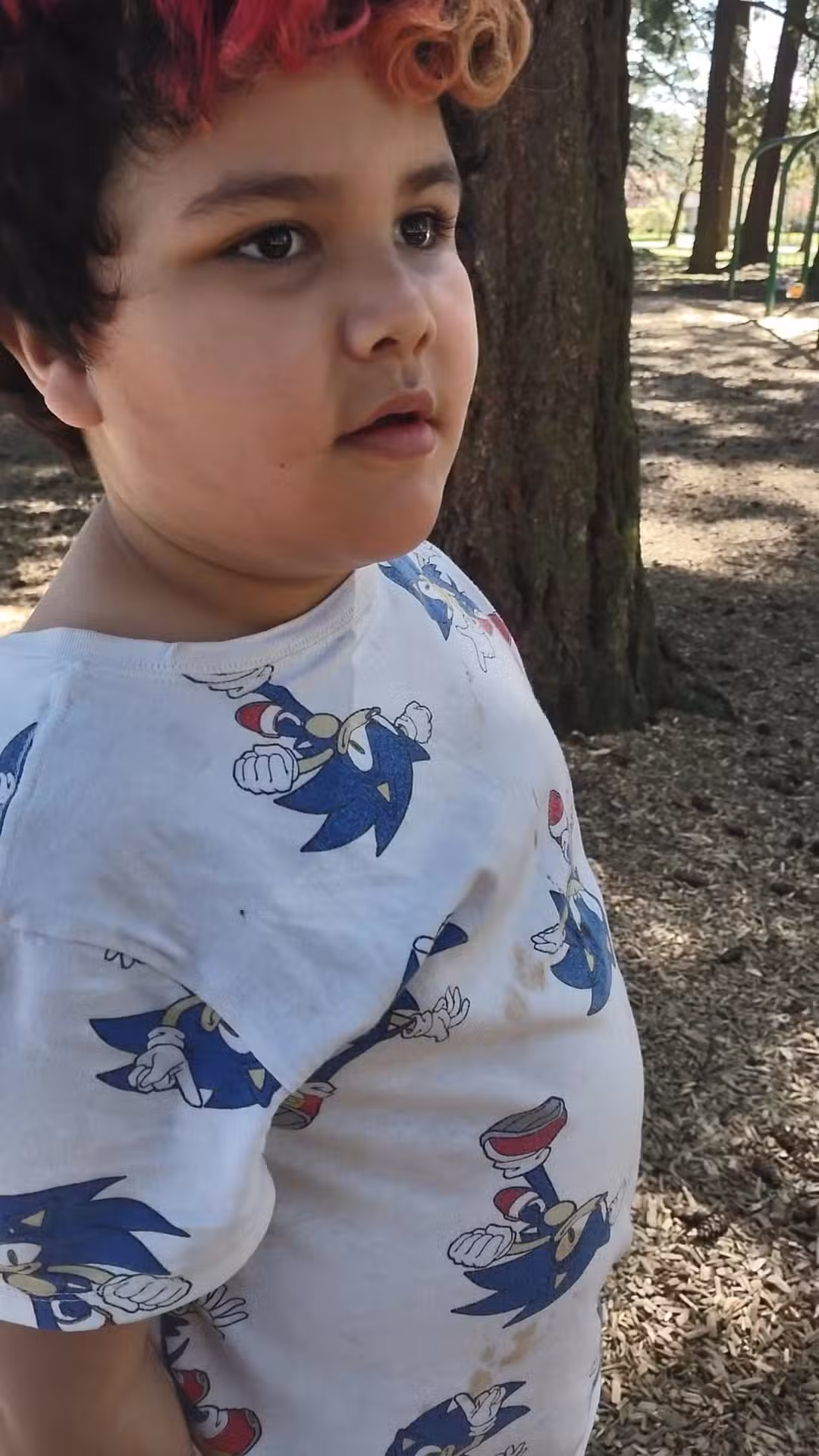 Hancock Park - Portland, OR