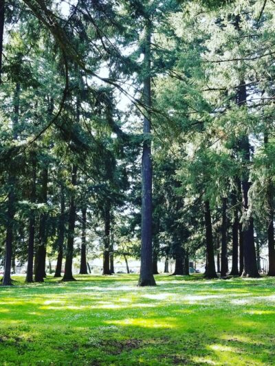 Hancock Park - Portland, OR