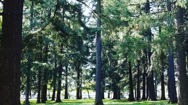 Hancock Park - Portland, OR