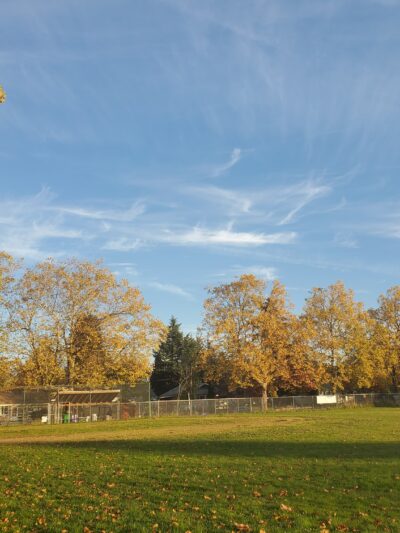 Harrison Park - Portland, OR