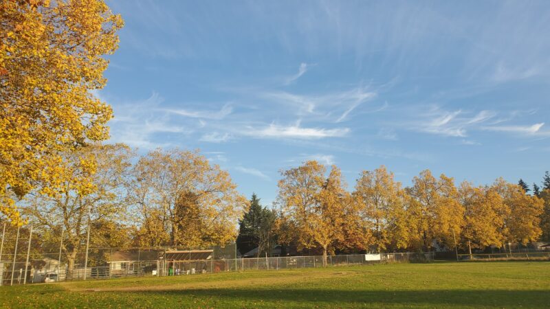 Harrison Park - Portland, OR