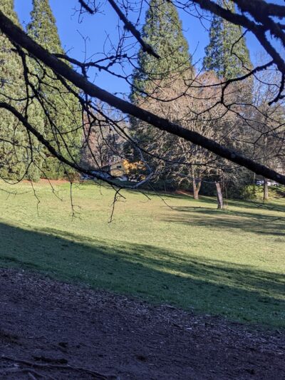 Hillsdale City Park - Portland, OR