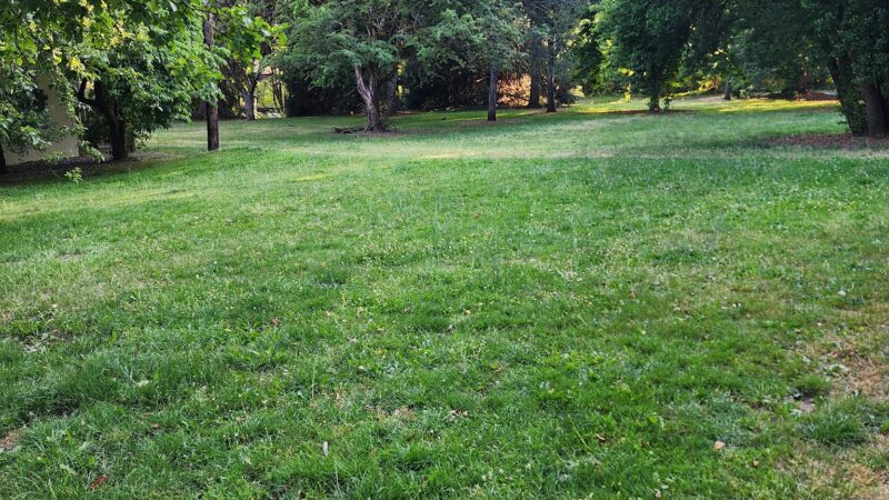 Hillsdale City Park - Portland, OR