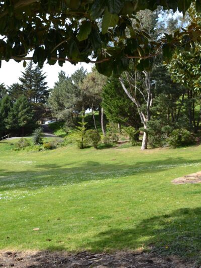 Hillside Park - Portland, OR