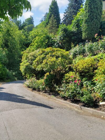 Hillside Park - Portland, OR