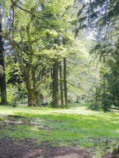 Laurelhurst Park - Portland, OR