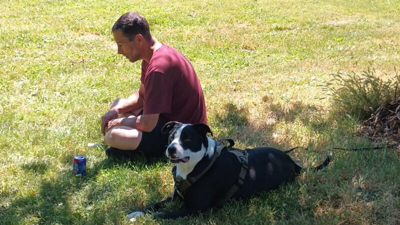 Lents Park Off-Leash Dog Area - Portland, OR