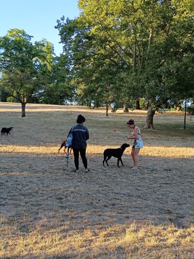 Lents Park Off-Leash Dog Area - Portland, OR