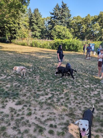 Lents Park Off-Leash Dog Area - Portland, OR