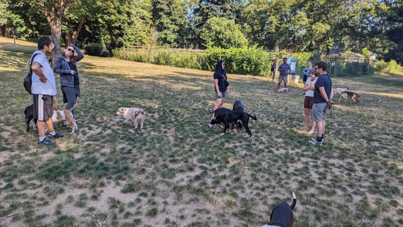 Lents Park Off-Leash Dog Area - Portland, OR