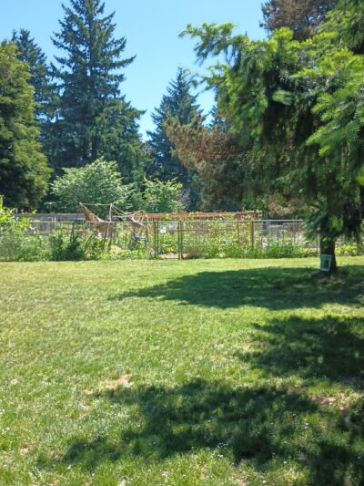 Lents Park Off-Leash Dog Area - Portland, OR