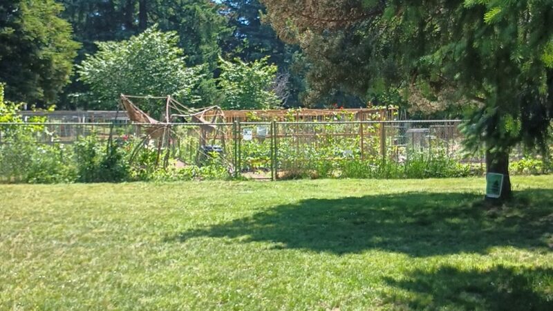 Lents Park Off-Leash Dog Area - Portland, OR