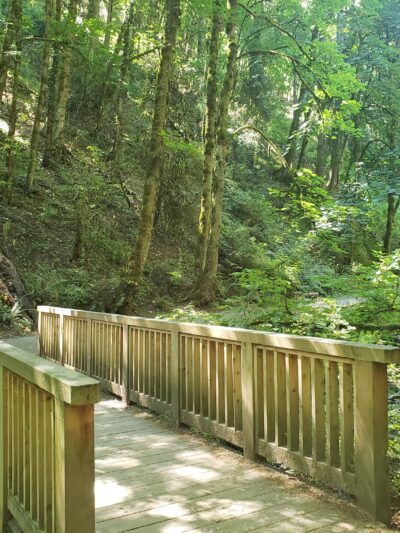 Lower MacLeay Trail - Portland, OR