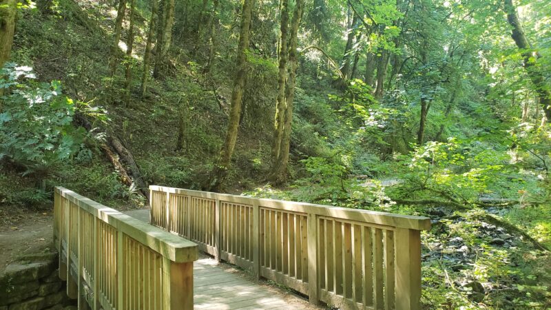 Lower MacLeay Trail - Portland, OR