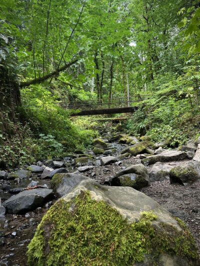 Lower MacLeay Trail - Portland, OR