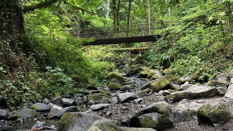 Lower MacLeay Trail - Portland, OR