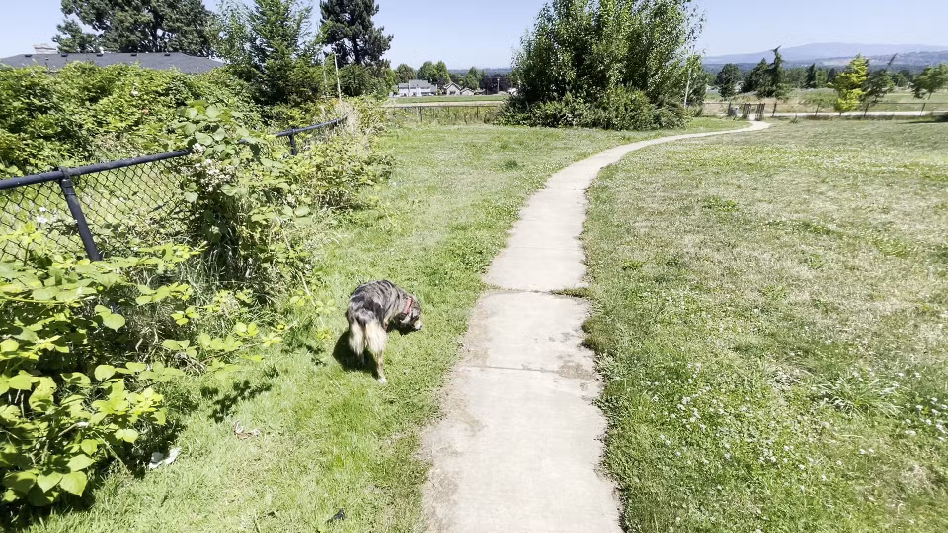Luuwit View Dog Park - Portland, OR