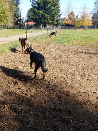 Lynchwood Park - Portland, OR