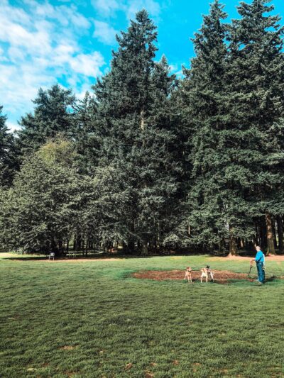 Lynchwood Park - Portland, OR