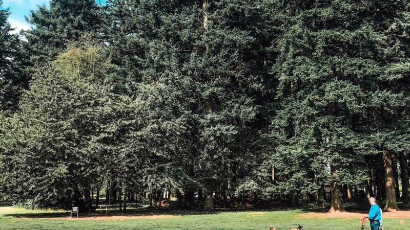 Lynchwood Park - Portland, OR