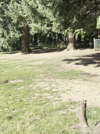 Lynchwood Park - Portland, OR