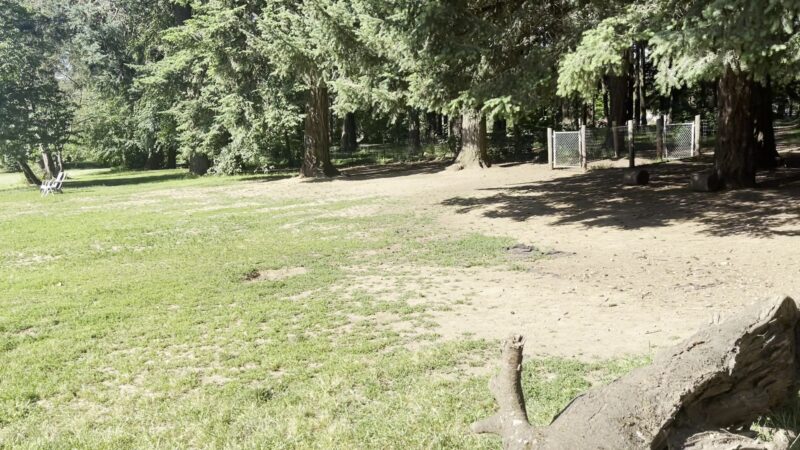 Lynchwood Park - Portland, OR