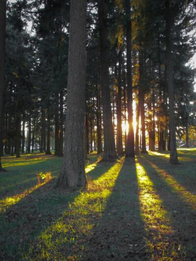 Lynchwood Park - Portland, OR