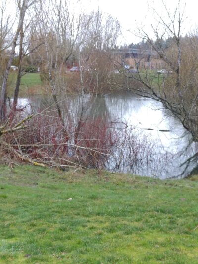 Morgan's Run Park - Portland, OR