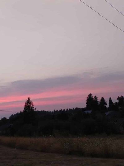 Morgan's Run Park - Portland, OR