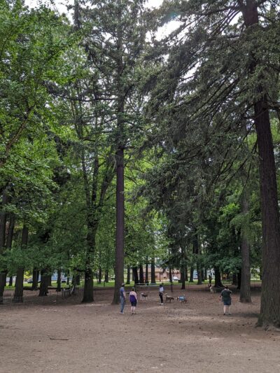 Normandale Dog Park - Portland, OR