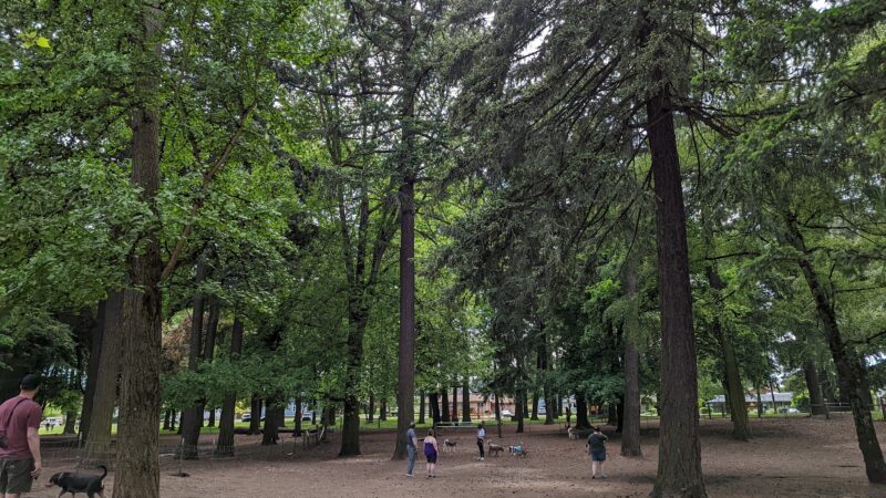 Normandale Dog Park - Portland, OR