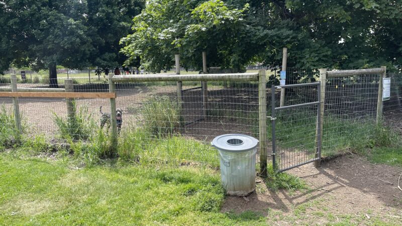 Off-Leash Dog Area - Portland, OR