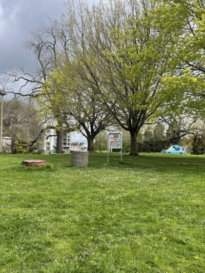 Off-Leash Dog Area - Portland, OR