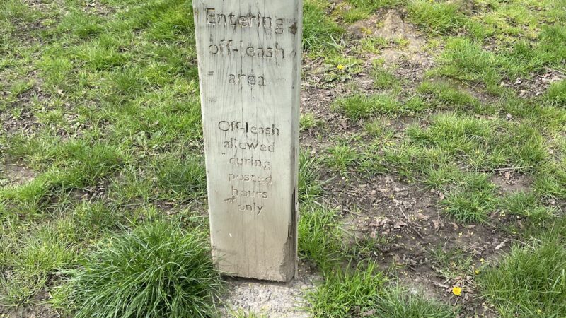 Off-Leash Dog Area - Portland, OR
