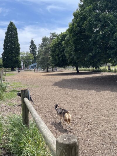 Off-Leash Dog Area - Portland, OR