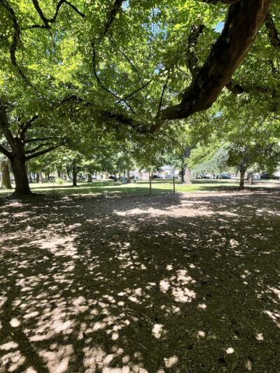 Off-Leash Dog Area - Portland, OR