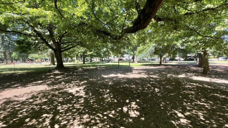 Off-Leash Dog Area - Portland, OR