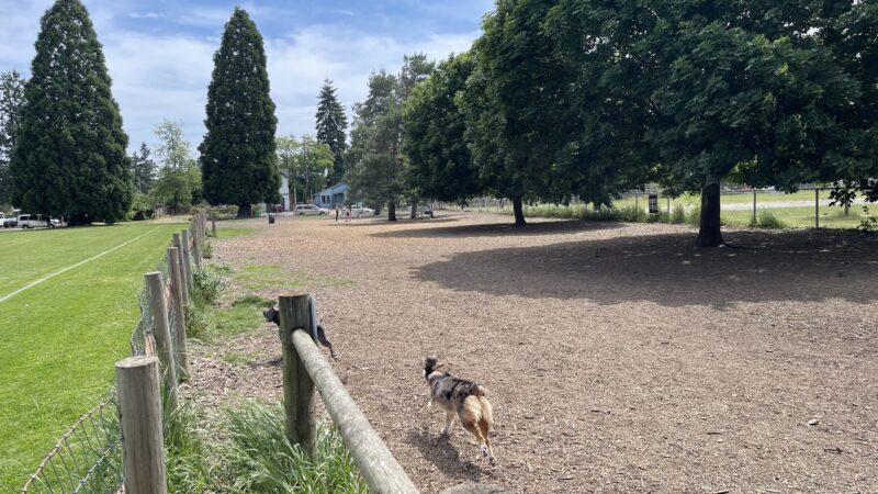 Off-Leash Dog Area - Portland, OR