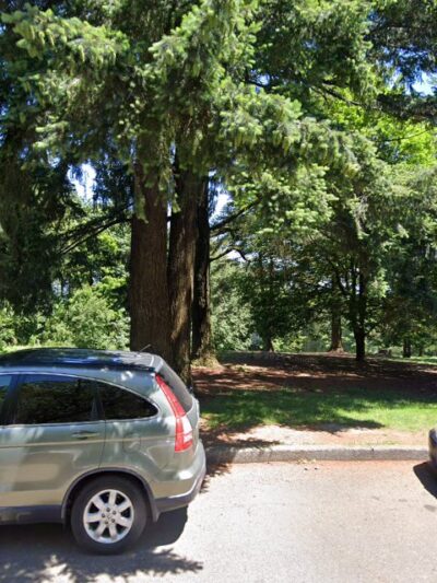 Off-Leash Dog Park - Portland, OR