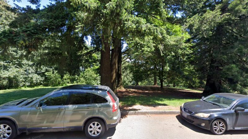 Off-Leash Dog Park - Portland, OR