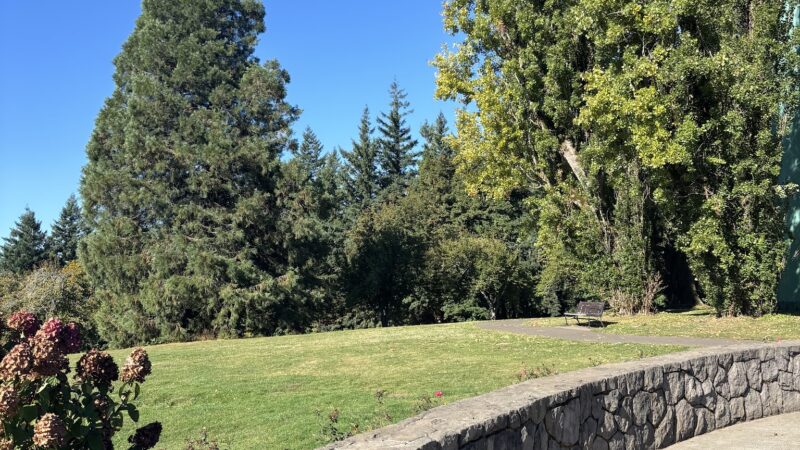 Off-Leash Dog Park - Portland, OR