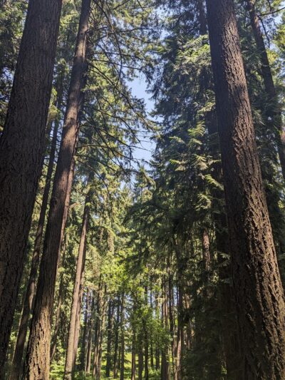 Pier Park - Portland, OR