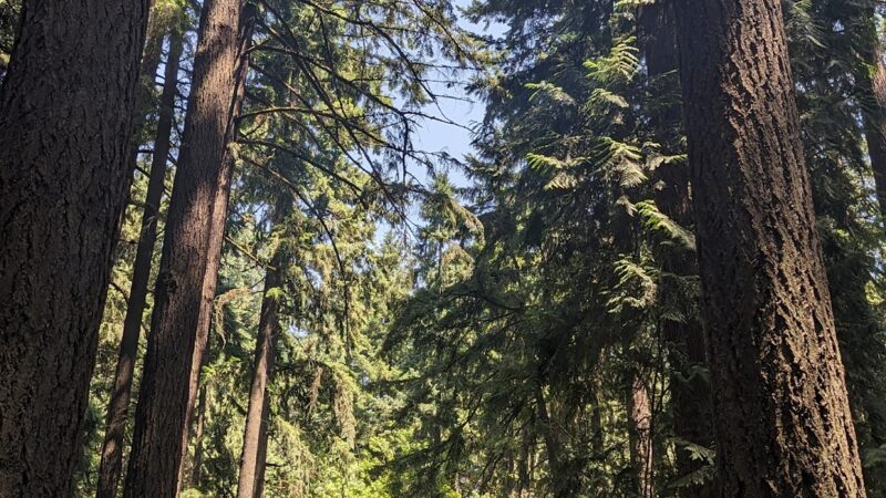 Pier Park - Portland, OR